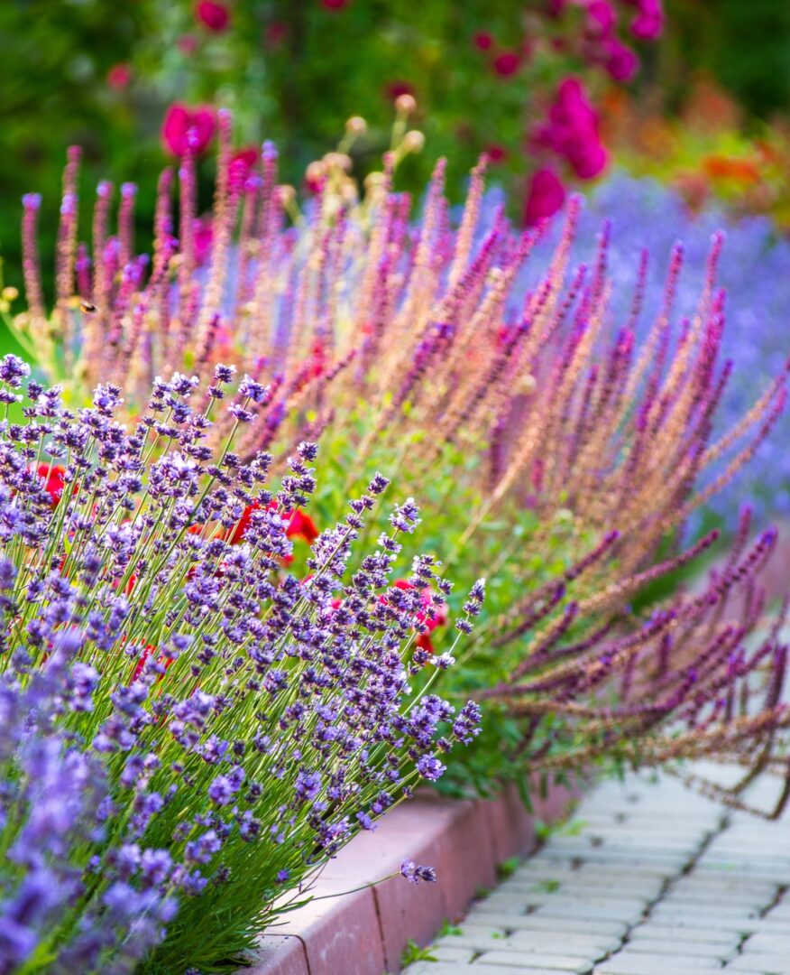 díszkert kertépítés