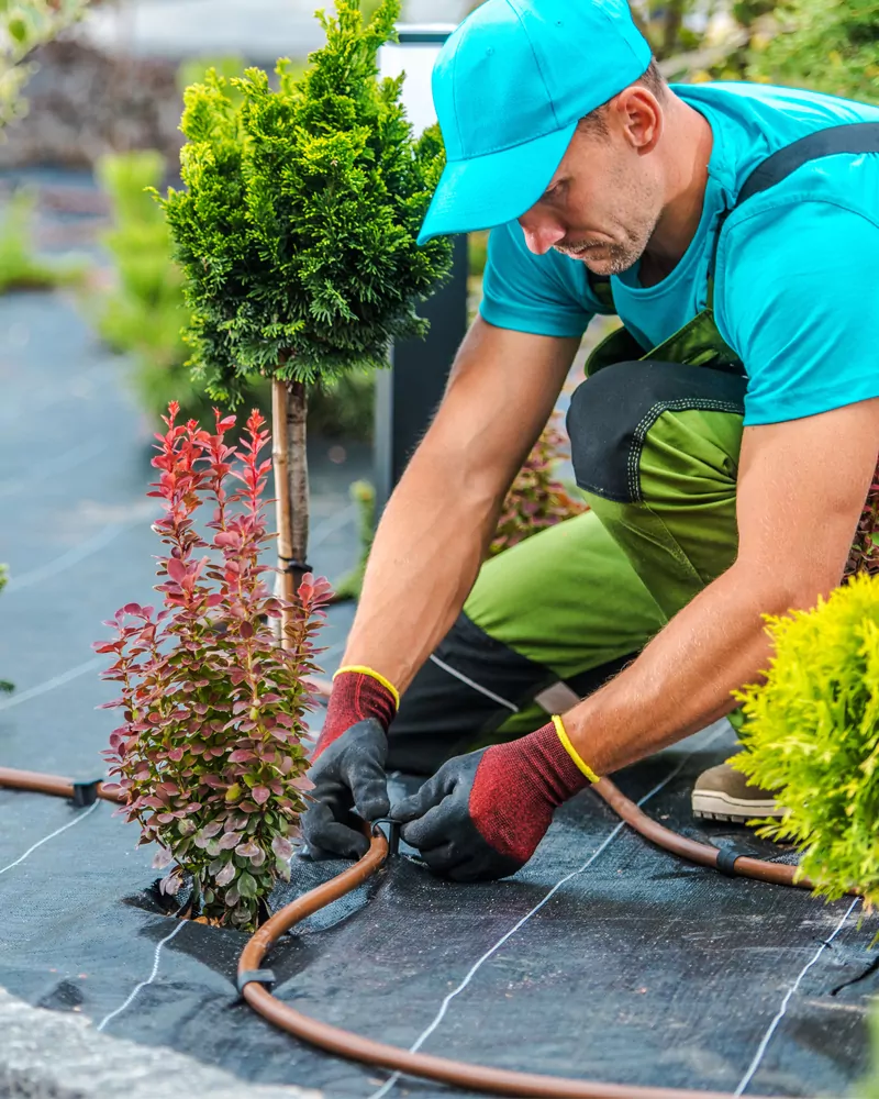 Kertepites Szepkertunk kertrendezés