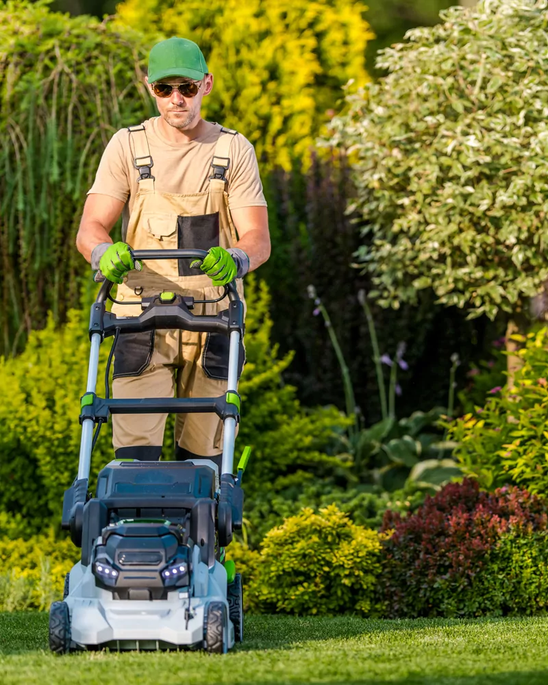 Kertgondozas Szepkert