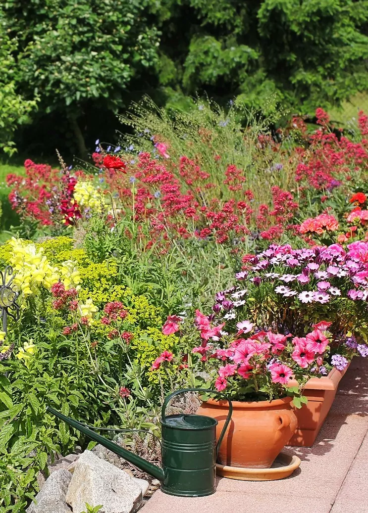 Kertrendezes Kertgondozas Szepkertunk Minta 6